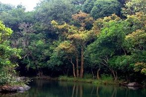 Beautiful views in Sagara, karnataka